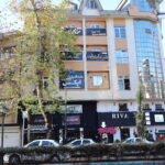 دندانپزشکی اپکس